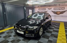 BMW520d / Xdrive/Pilot automat/Clima/Interior piele/Camera spate