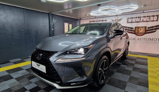 Lexus NX 300h AWD Business